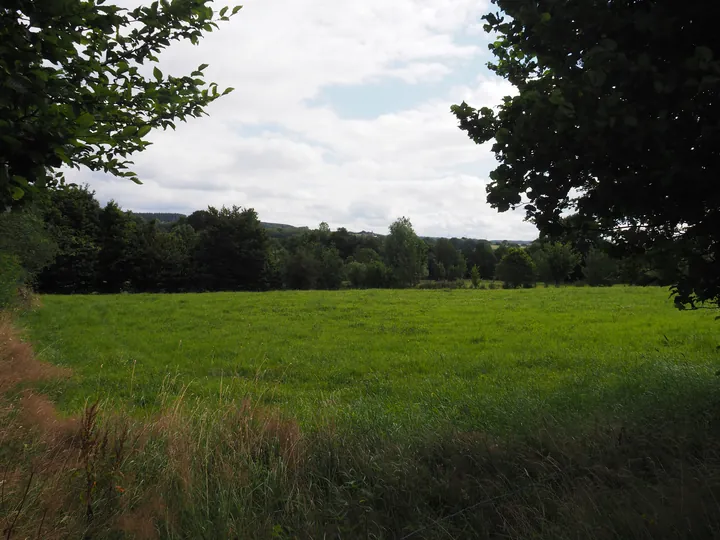 Ferme de la Planche (barefoot path) (België)